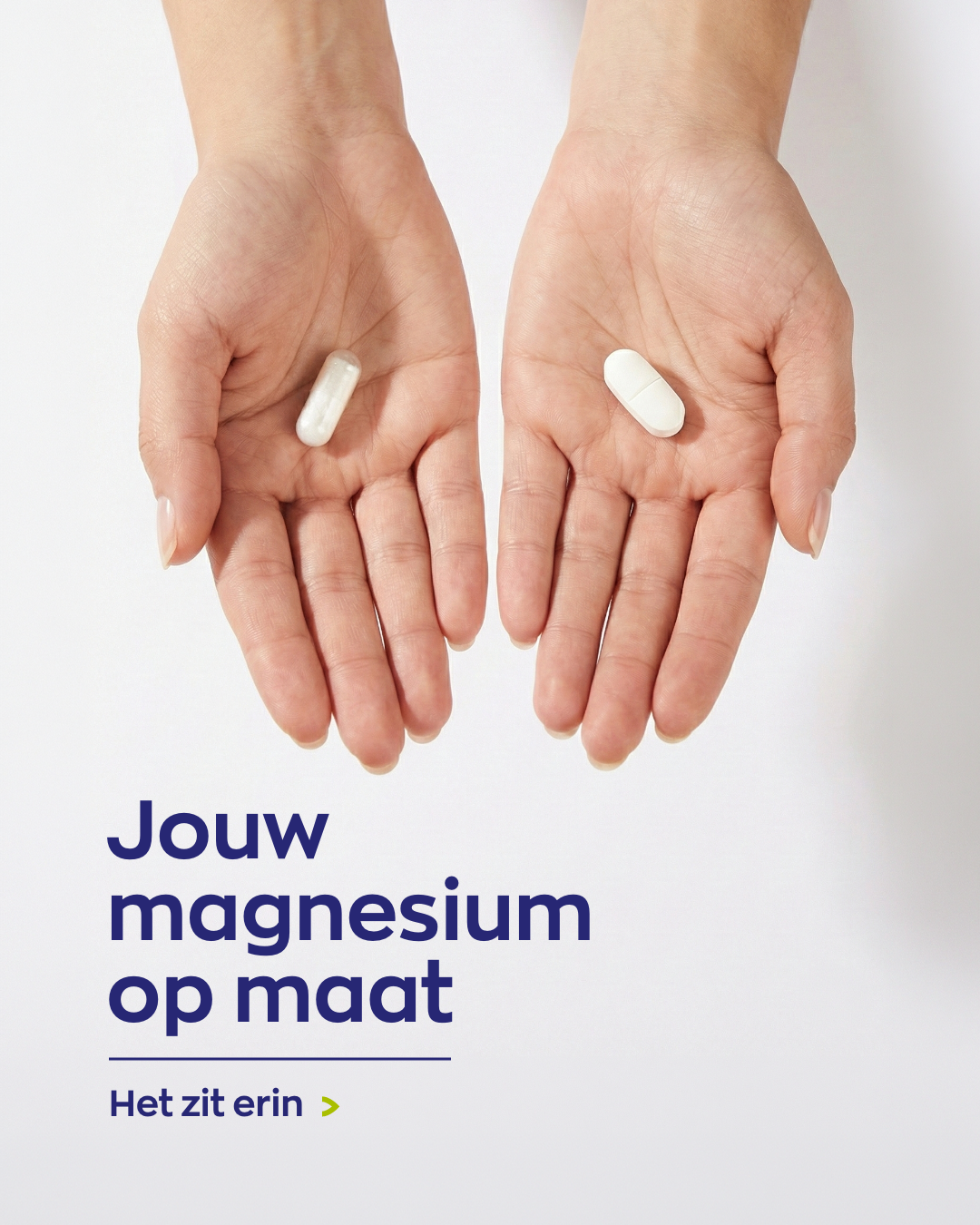 Magnesium-assortiment — variant B1